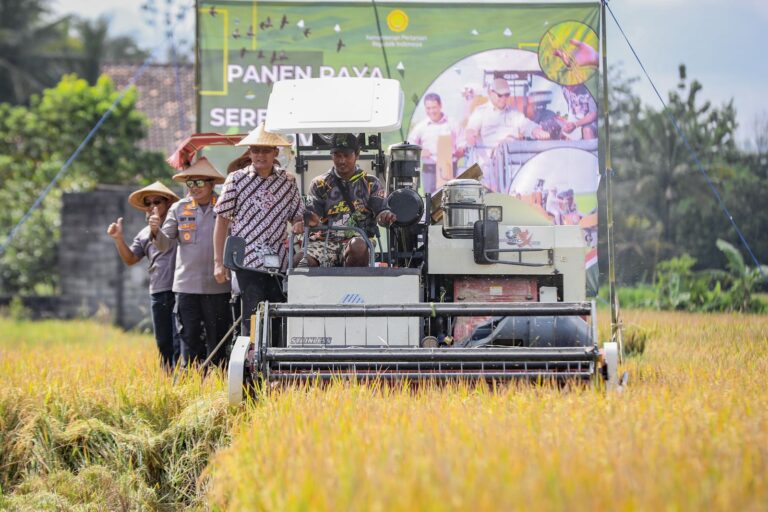 Dukung Swasembada Pangan Nasional, Wakil Bupati Sleman Pimpin Panen Raya Padi